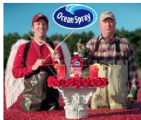 Ocean spray:  more sparkling juice freebies available on sunday (february 20, 2011)