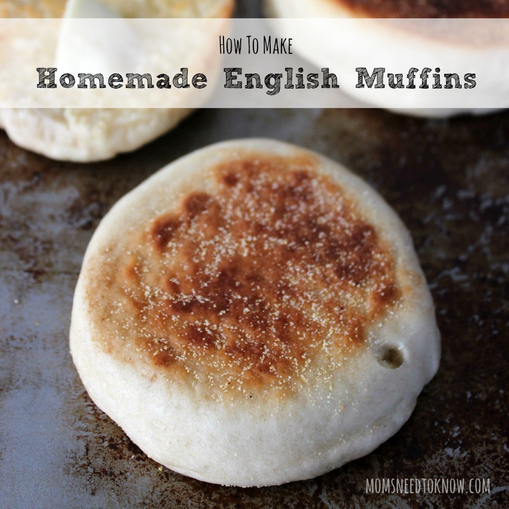 How To Make Homemade English Muffins sq