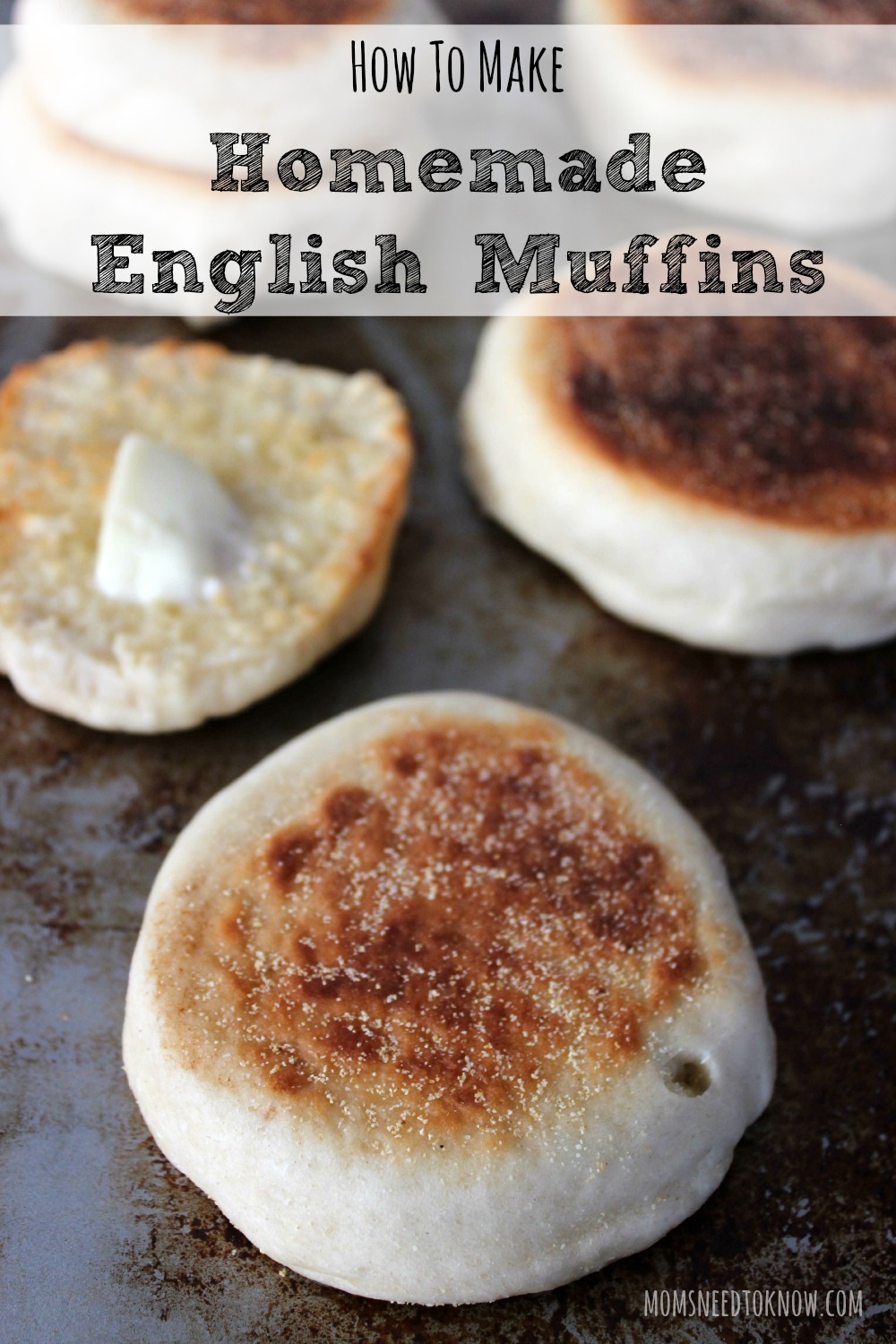 English Muffin 