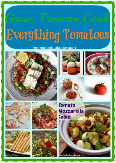 Tomato recipes