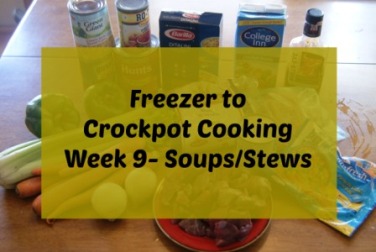 Freezer To Crockpot Cooking  Soups Recipes and Instructions