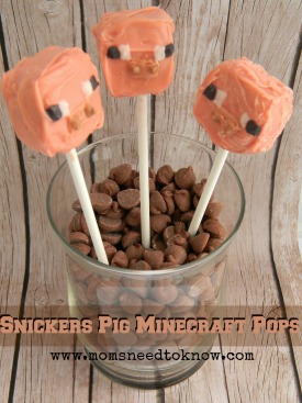 Minecraft Pig Pops