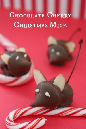 chocolate cherry christmas mice