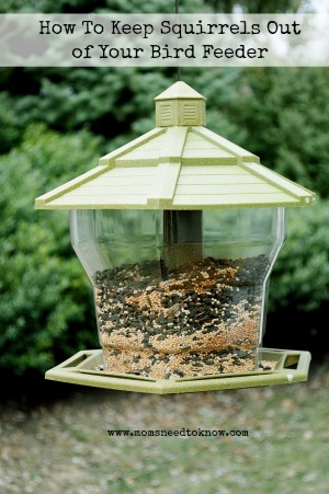 how to keep squirrels out of bird feeder