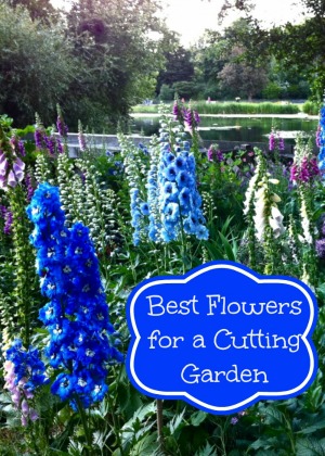 Grow The Best Flowers For A Cutting Garden Moms Need To Know