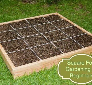 Getting Started With Square Foot Gardening