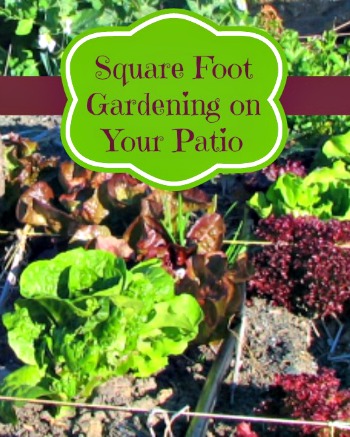 square foot gardening patio