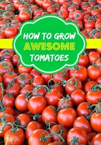 Learn How to Grow Awesome Tomatoes