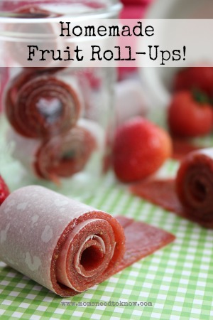 Homemade Fruit Roll Ups