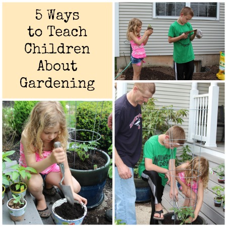 Ways To Teach Children About Gardening