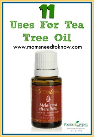 11 Ways to Use Tea Tree Oil