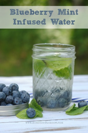 Blueberry Mint Infused Water