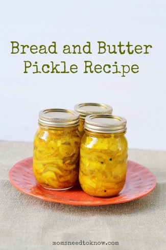 Easy Bread And Butter Pickle Recipe Moms Need To Know