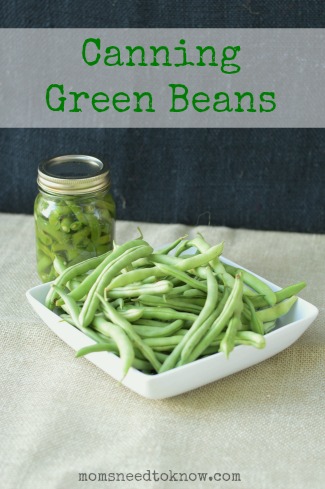 Canning Green Beans 2