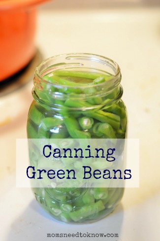 Canning Green Beans