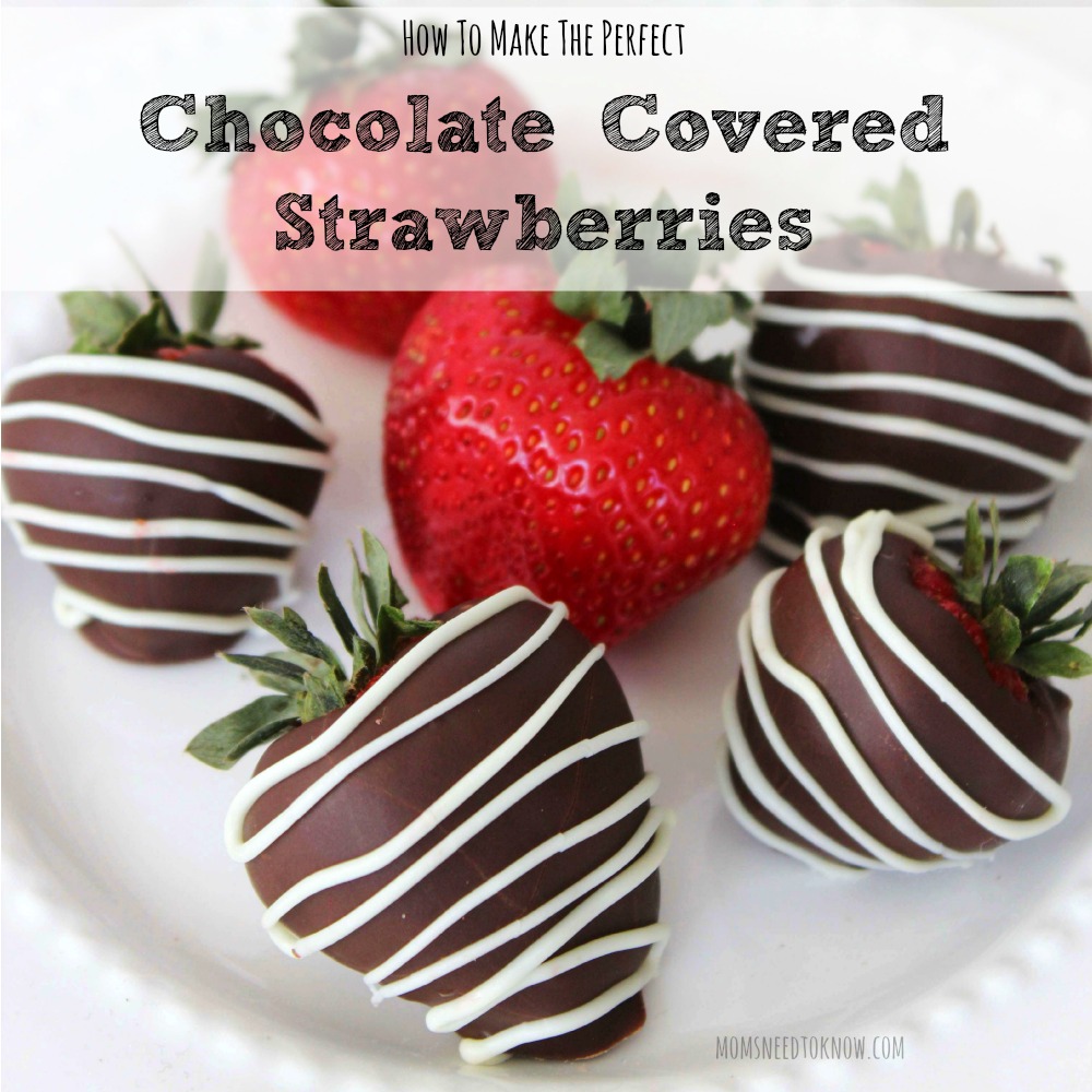 How To Make The Perfect Chocolate Covered Strawberries sq