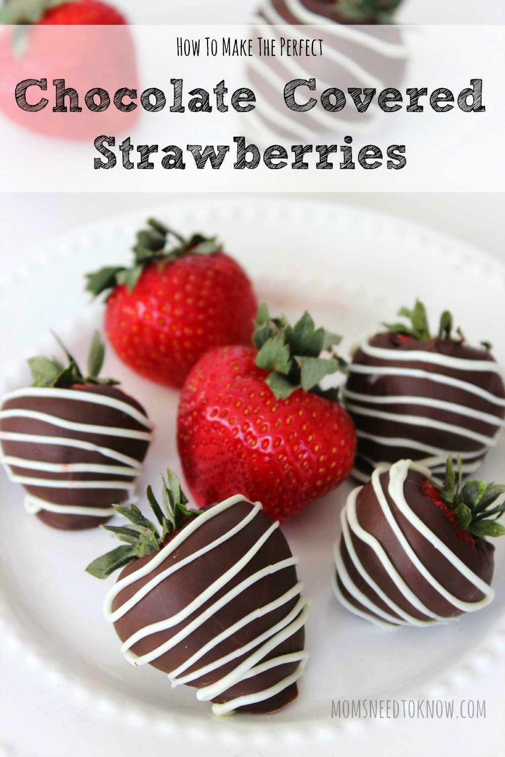 The Best Chocolate Covered Strawberries Recipe