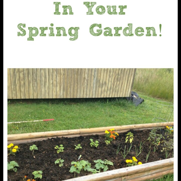 Gardening Tips Archives | Moms Need To Know