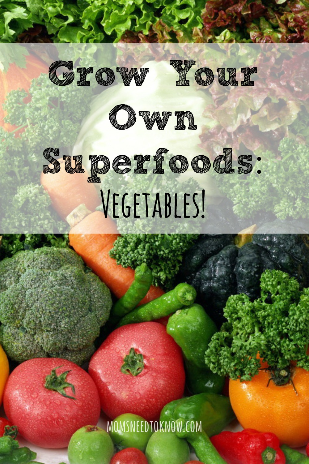 How To Grow Your Own Superfoods - Vegetables