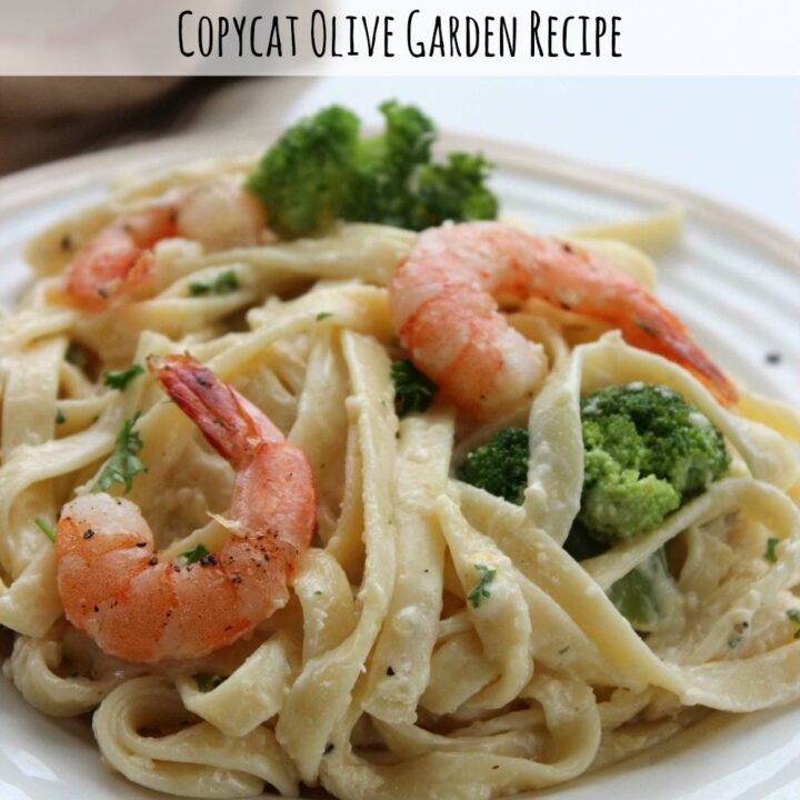 Copycat Olive Garden Alfredo Sauce Recipe Shrimp and Broccoli Alfredo