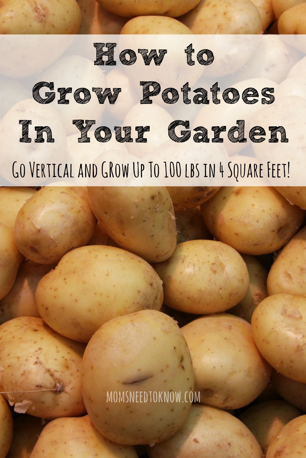 How To Grow Potatoes In Your Garden