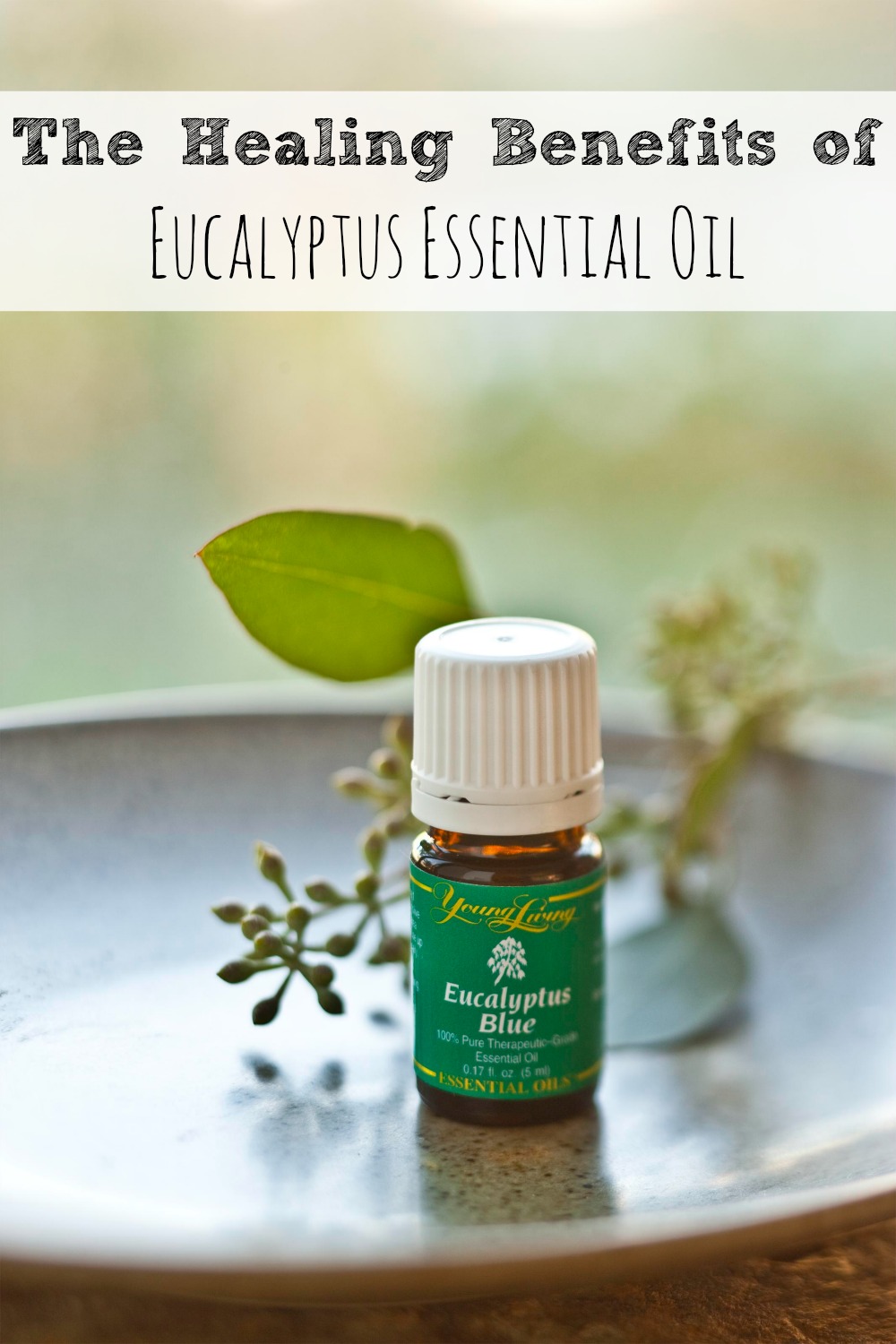 The Healing Benefits of Eucalyptus Essential Oil