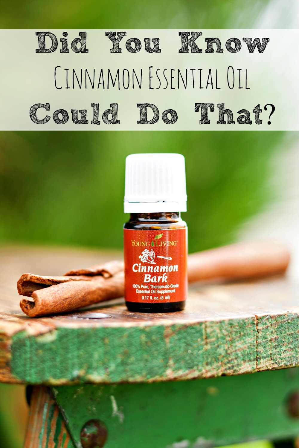 The Many Uses For Cinnamon Essential Oil