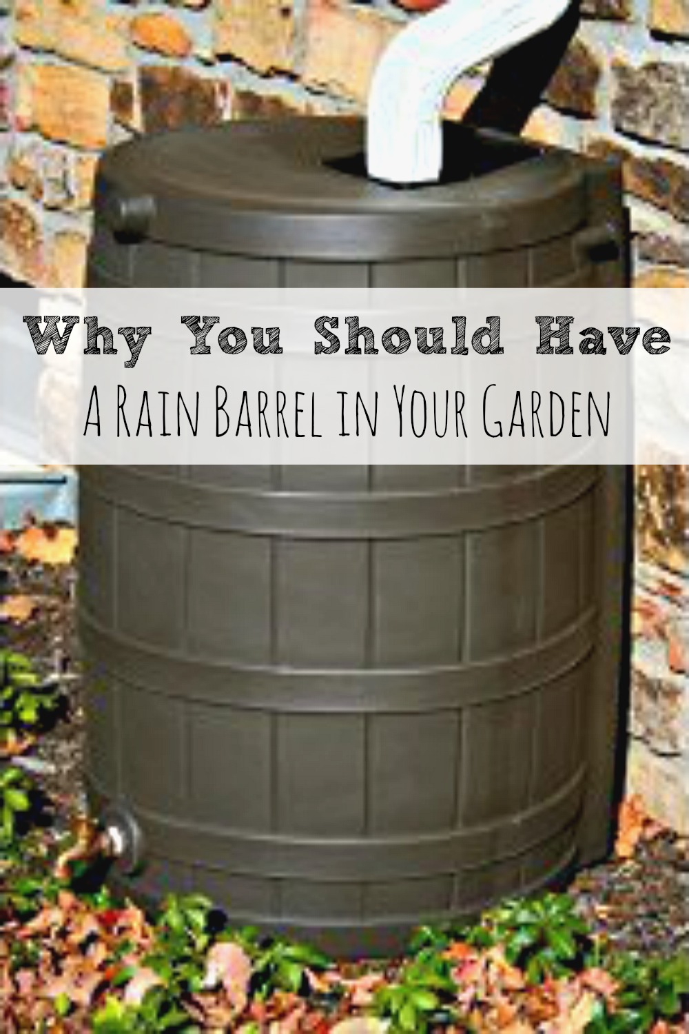 Why You Should Have a Rain Barrel in Your Garden