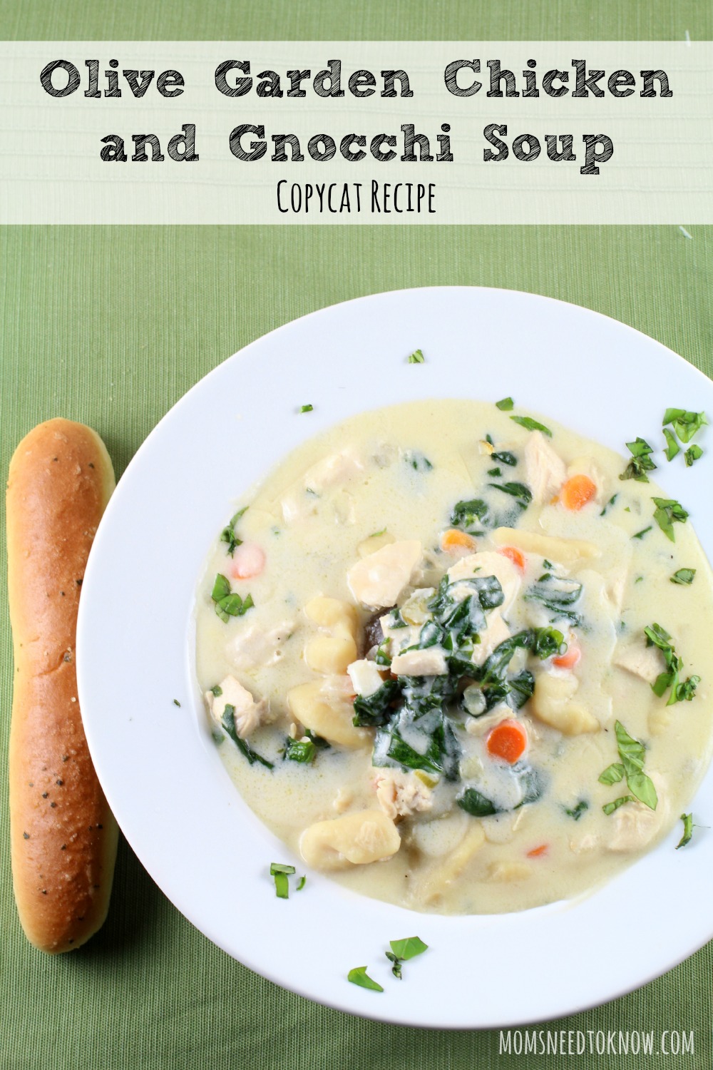 Copycat Olive Garden Chicken and Gnocchi Soup Recipe