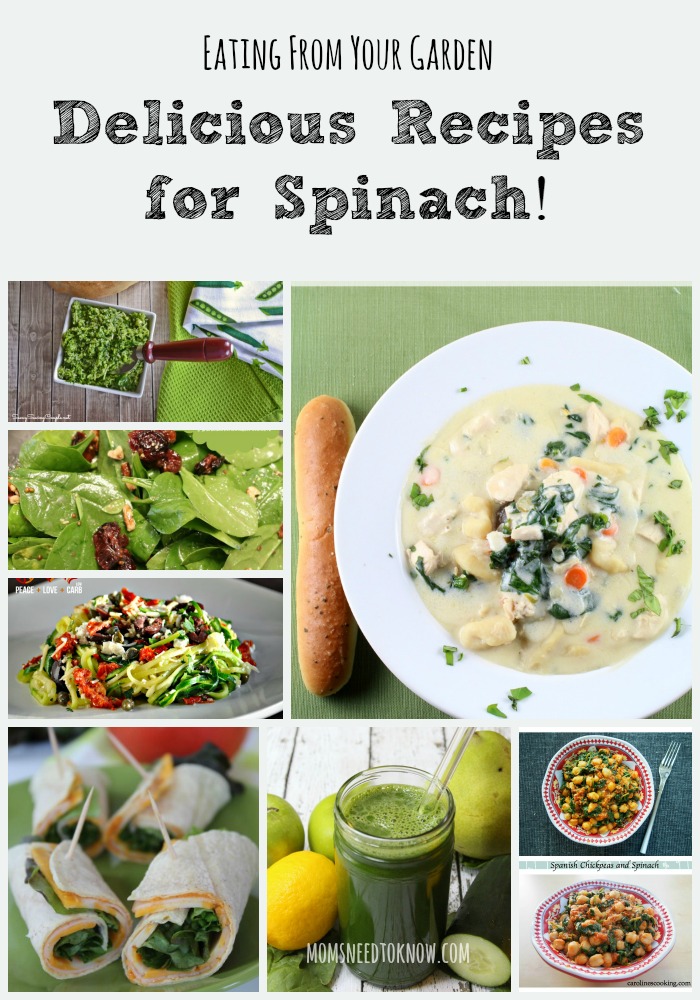 Delicious Recipes For Spinach