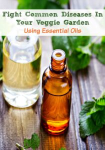 Fight Common Diseases In Your Veggie Garden Using Essential Oils