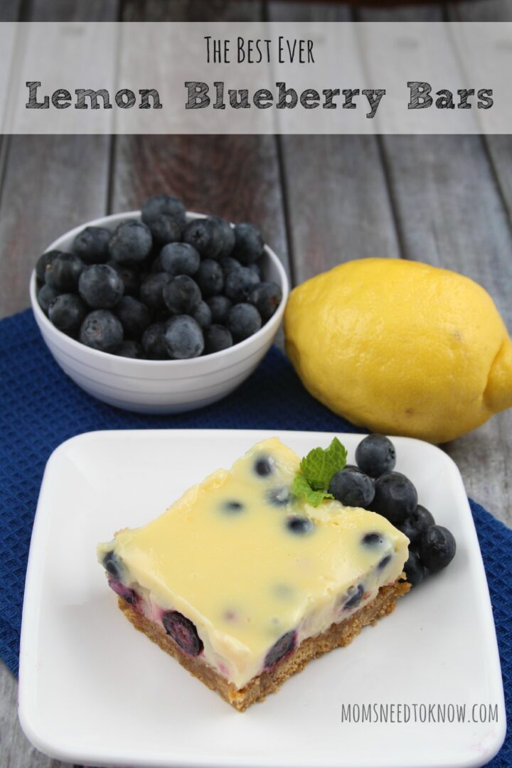 The Best Lemon Blueberry Bars Recipe Ever! Moms Need To Know