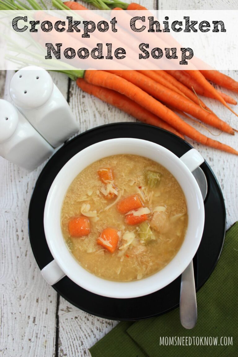 Crockpot Chicken Noodle Soup Recipe Great Freezer Recipe!