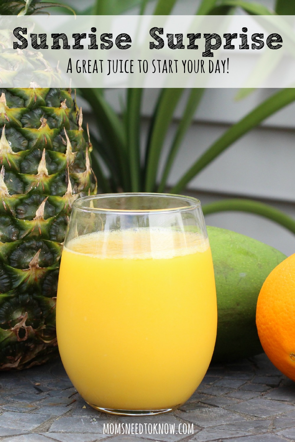 Juicing pineapple outlet