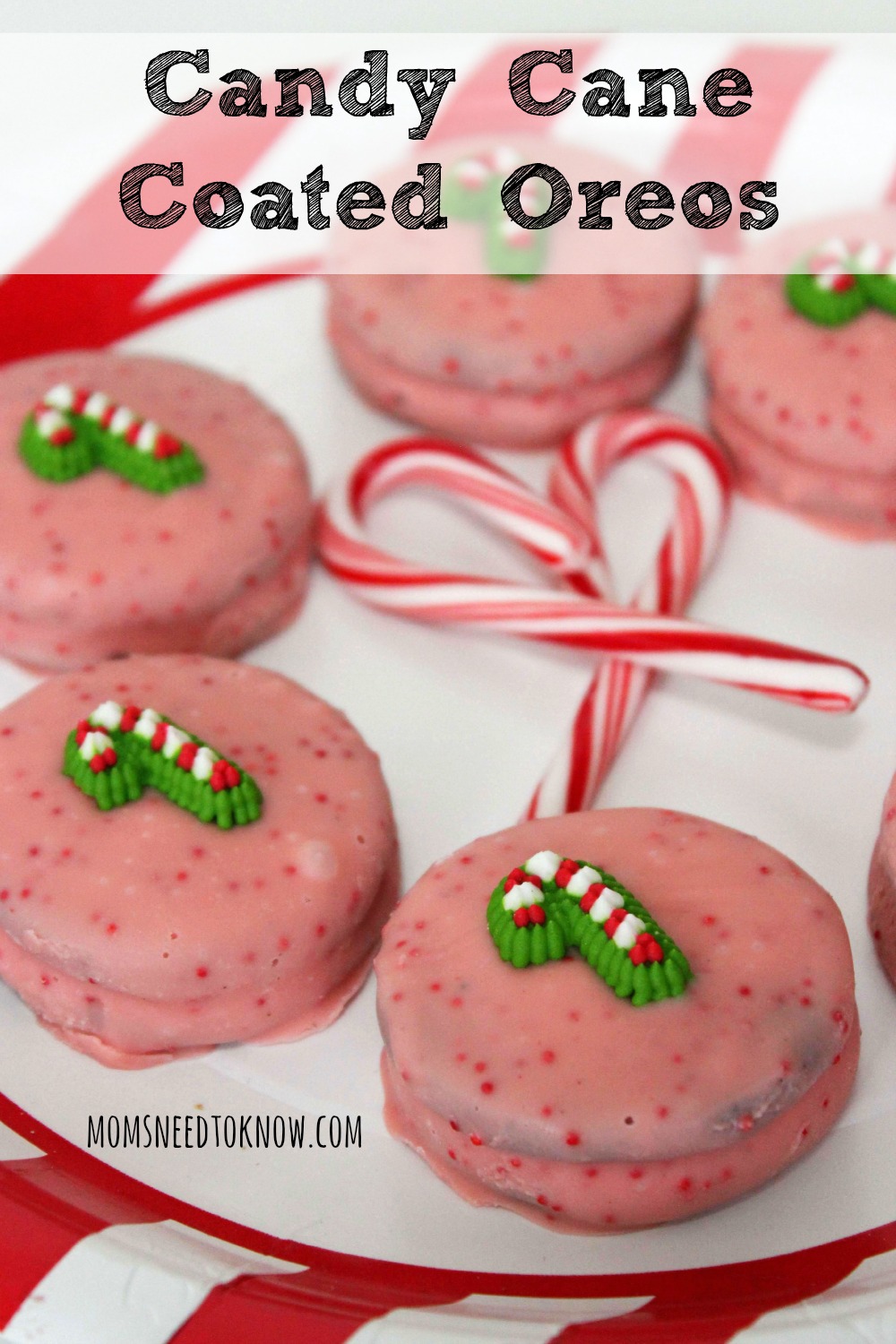 Candy Cane Coated Oreos