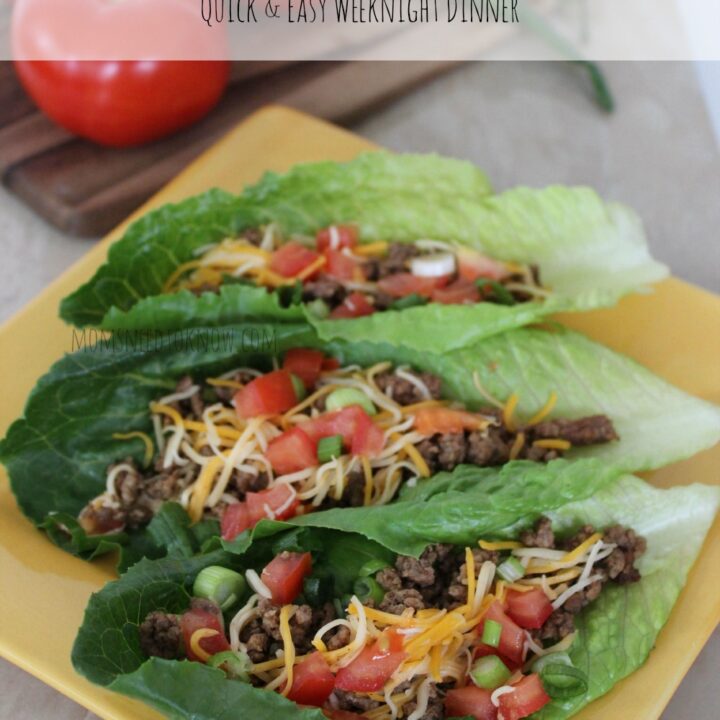 A homemade taco seasoning mix give these lettuce wrap tacos plenty of flavor (and if you children want to use regular taco shells - let them!)