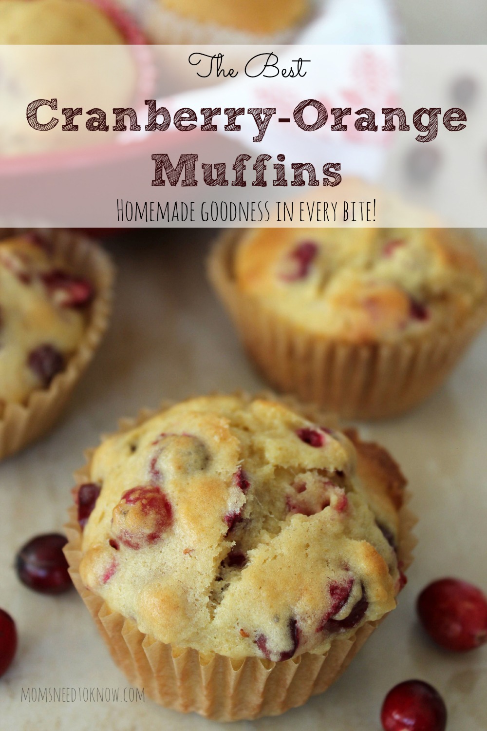 The Best Cranberry Orange Muffins