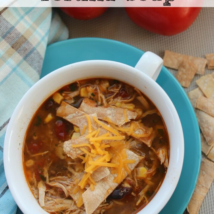 Crockpot Chicken Tortilla Soup + More Easy Chicken Recipes