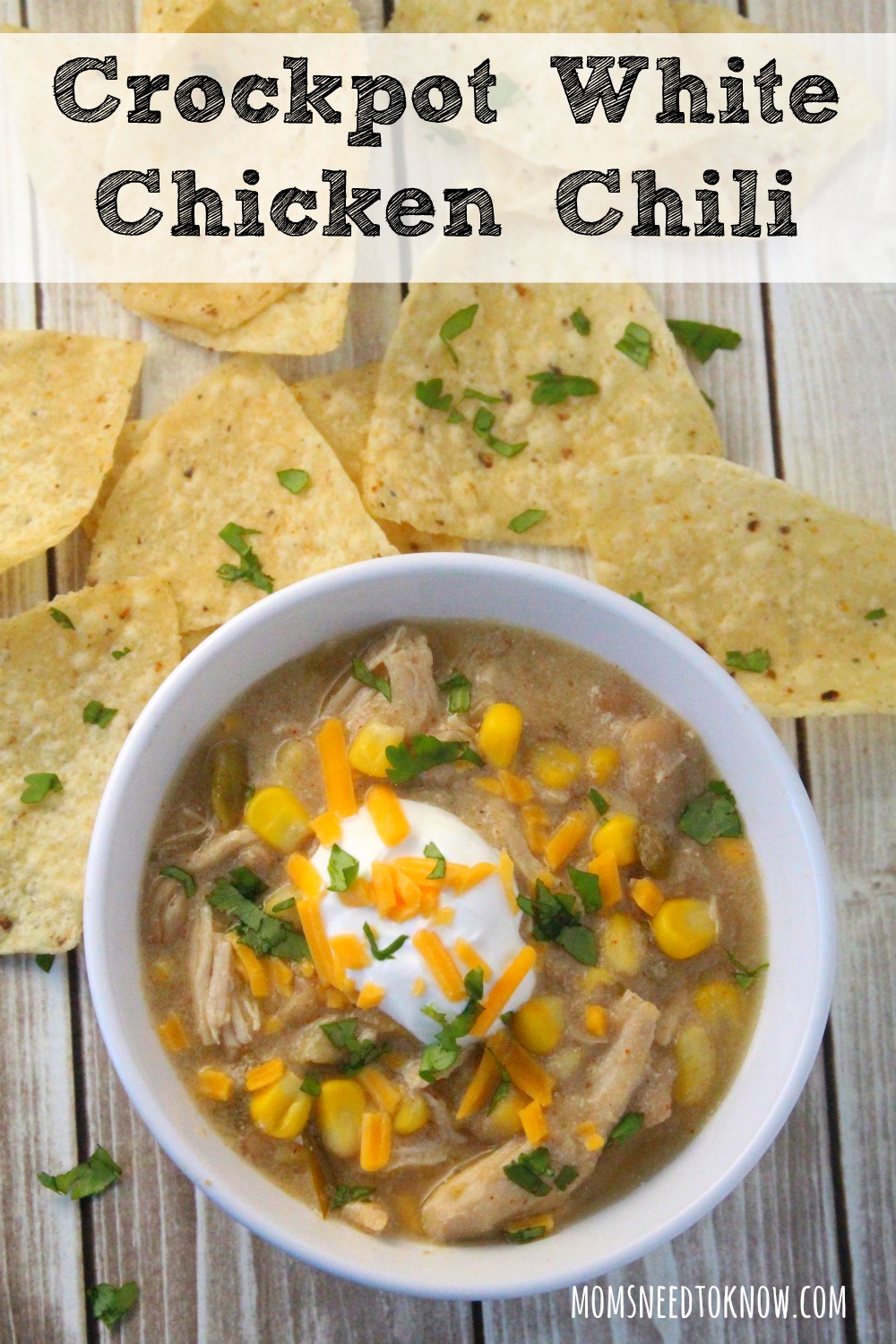 This white bean chicken chili cooks up in your slow cooker and is so delicious! It's the perfect change from your regular chili or soups!