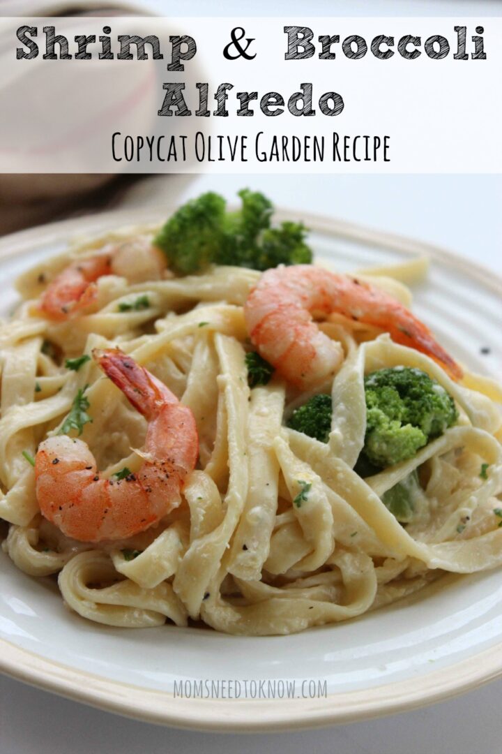 Copycat Olive Garden Alfredo Sauce Recipe Shrimp and Broccoli Alfredo