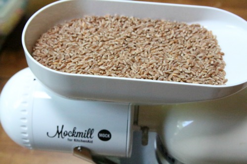 Mockmill wheat berries