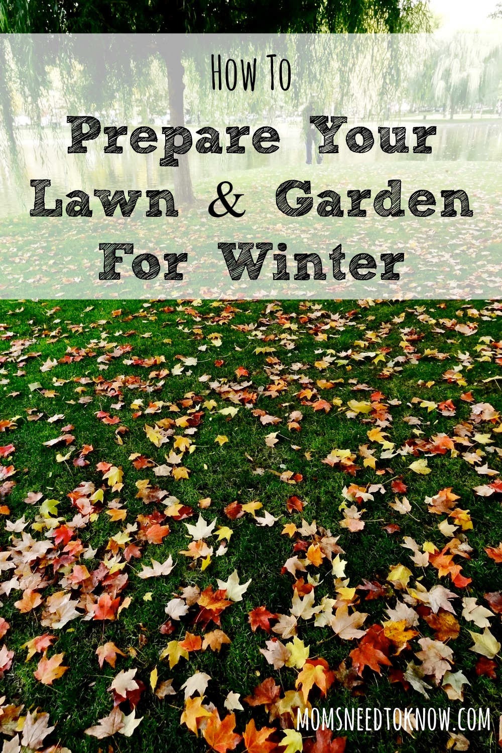 With the weather getting cooler, it's time to prepare your lawn for winter. Just a little work will help ensure that you have a healthy lawn in the spring