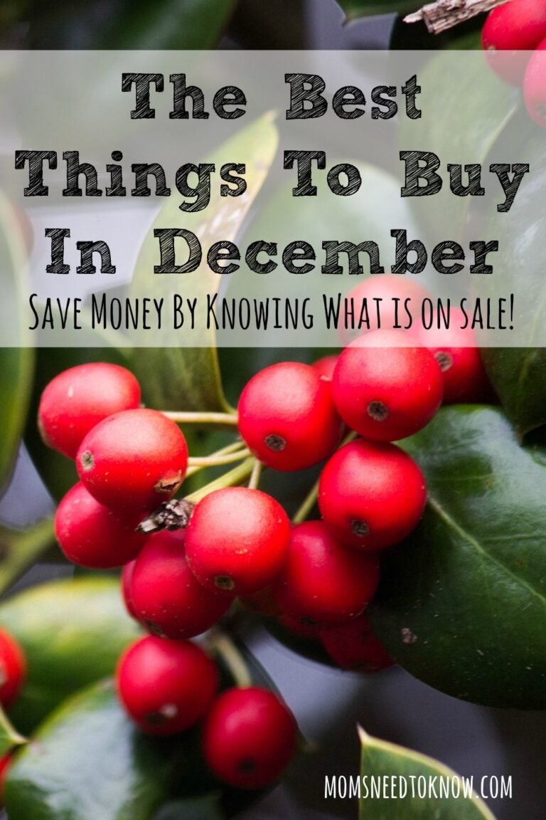 The Best Things To Buy In December | Moms Need To Know