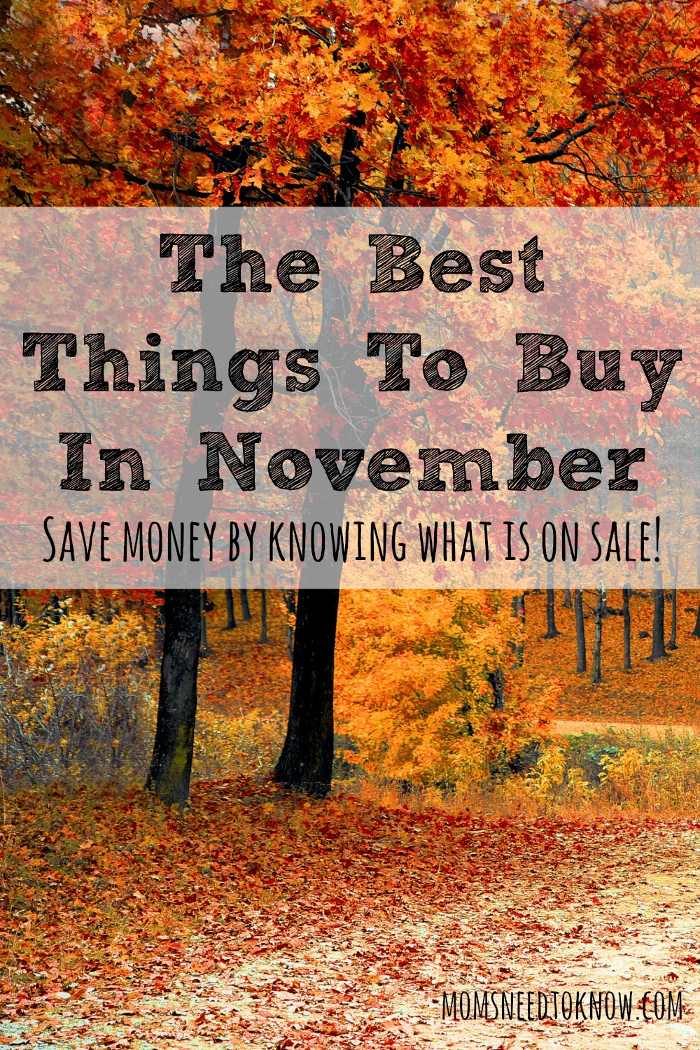 Knowing what the best things to buy in November are can save you a bunch of money. Stock up when these items are at their least expensive!