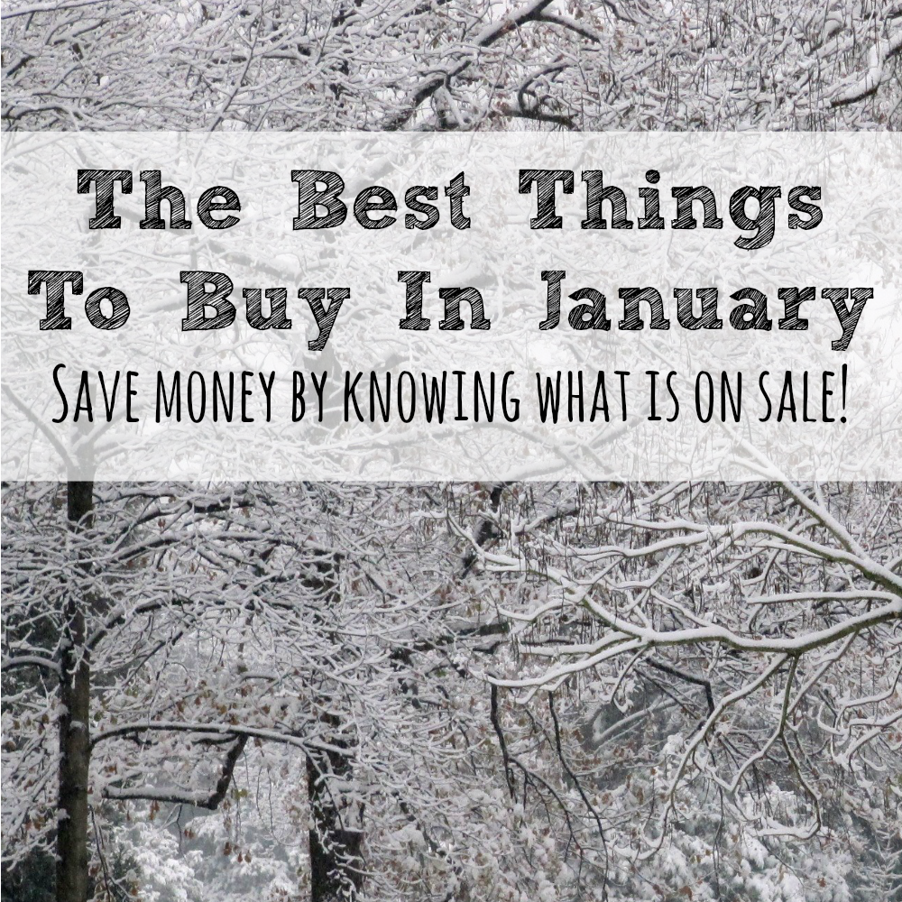 Saving money can be all about timing and January always has better deal on some things than others. Here are the best things to buy in January!