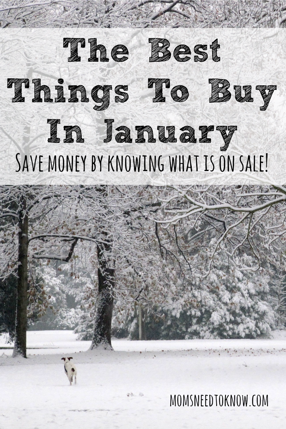 Saving money can be all about timing and January always has better deal on some things than others. Here are the best things to buy in January!