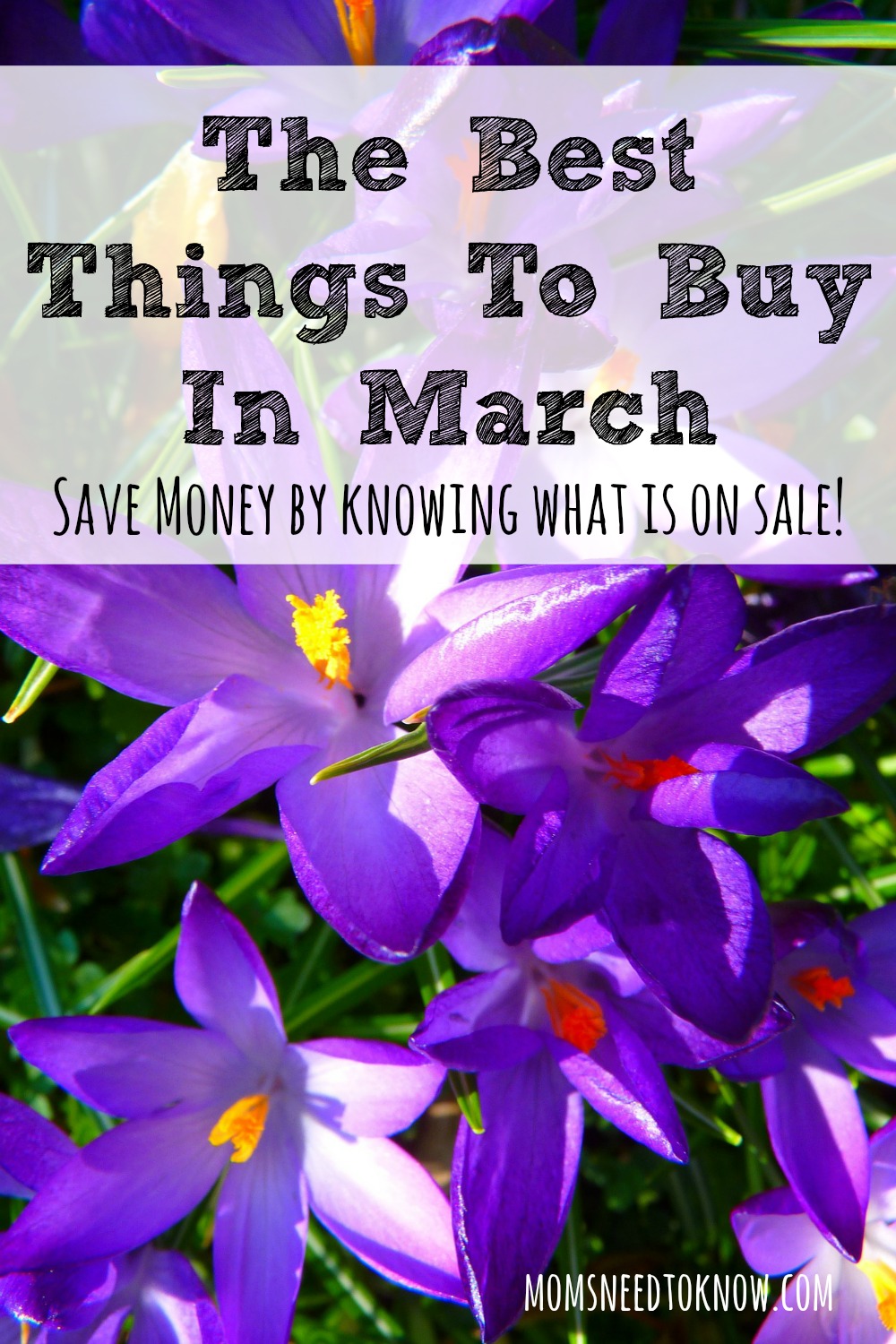 Saving money can be all about timing and March always has better deals on some things than others. Here are the best things to buy in March!