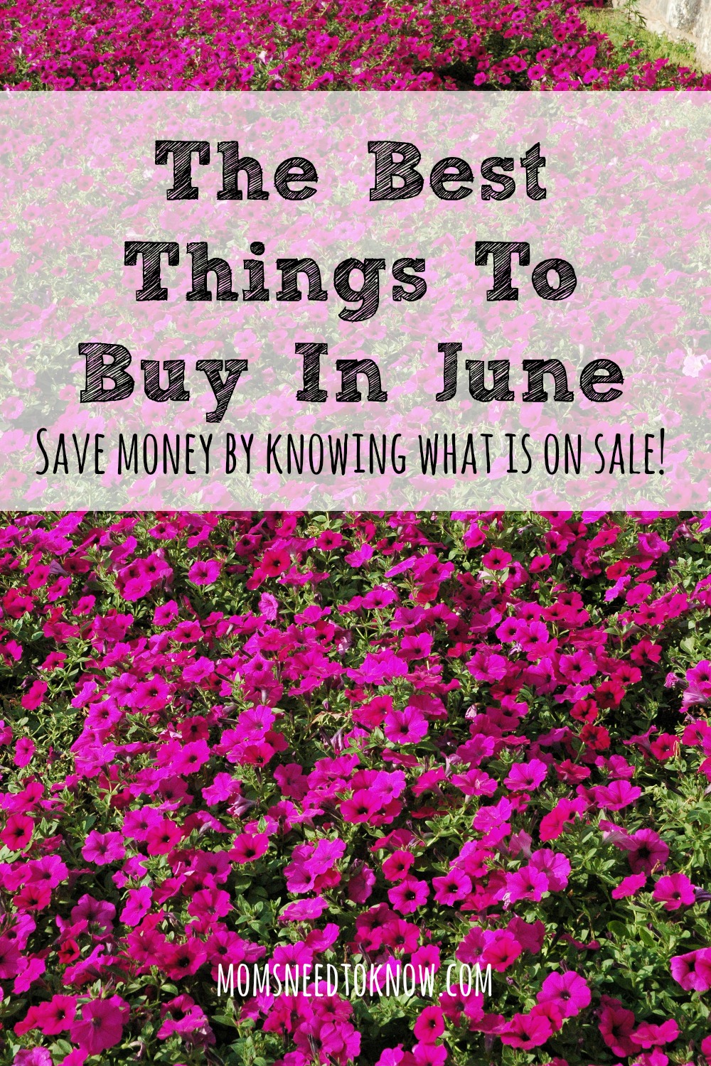 Saving money can be all about timing and June always has better deals on some things than others. Here are the best things to buy in June!