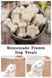 Homemade Frozen Dog Treats | Moms Need To Know