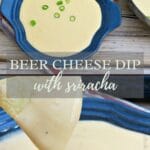 pita chip dipped in beer cheese dip